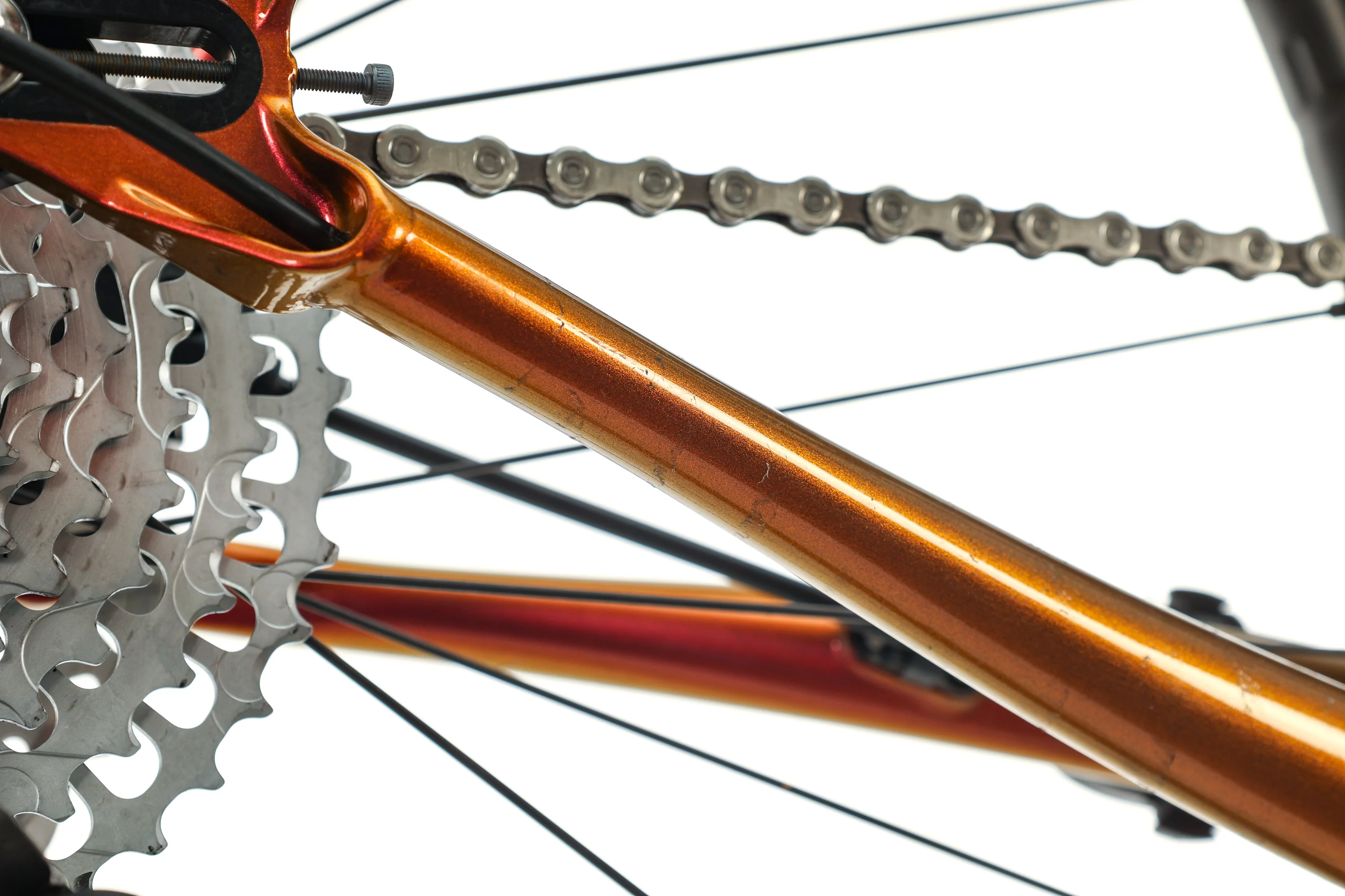 Rodeo Labs Flaanimal 5.0 Ekar Gravel Bike - 2022, 54cm - Image 10