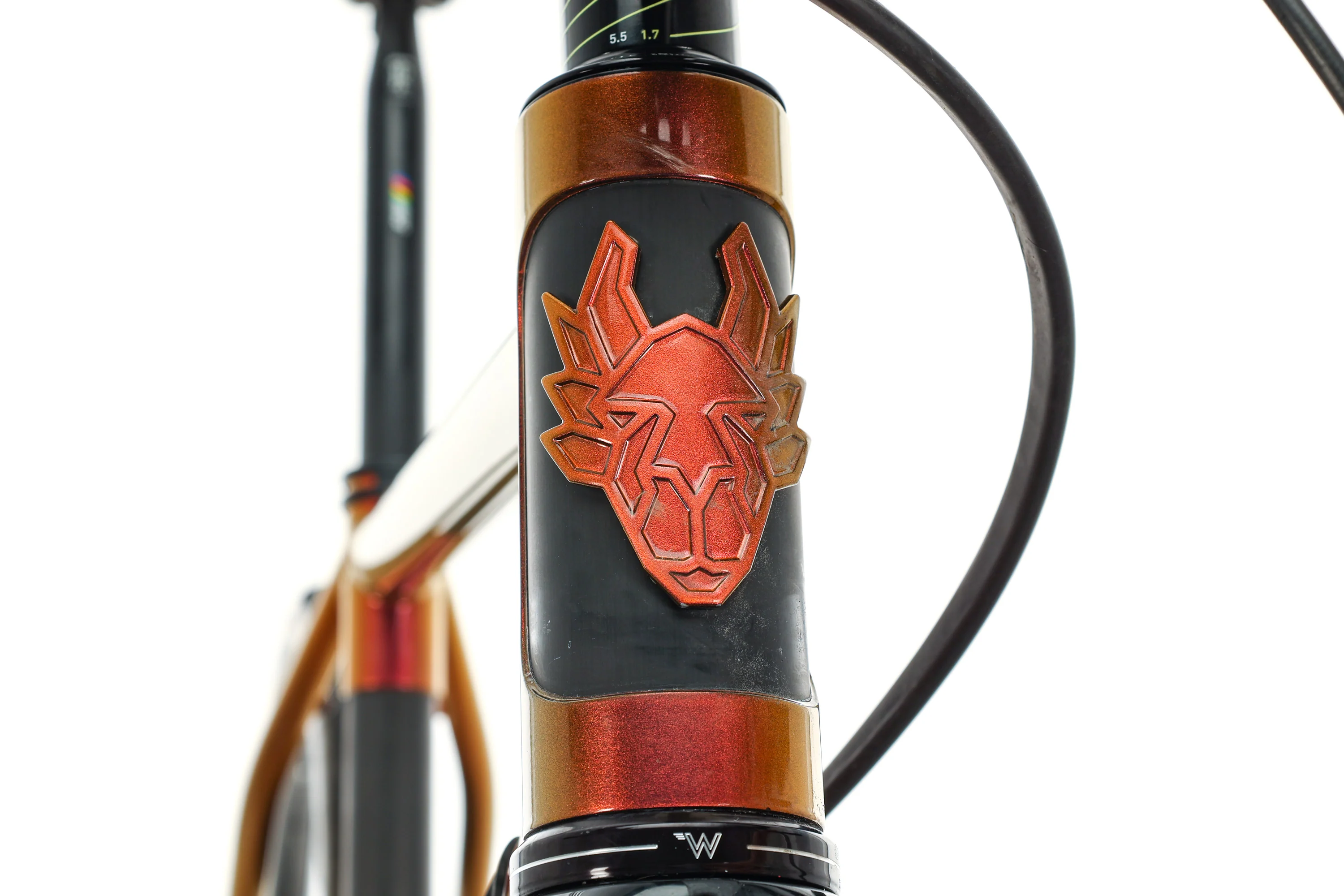 Rodeo Labs Flaanimal 5.0 Ekar Gravel Bike - 2022, 54cm - Image 7