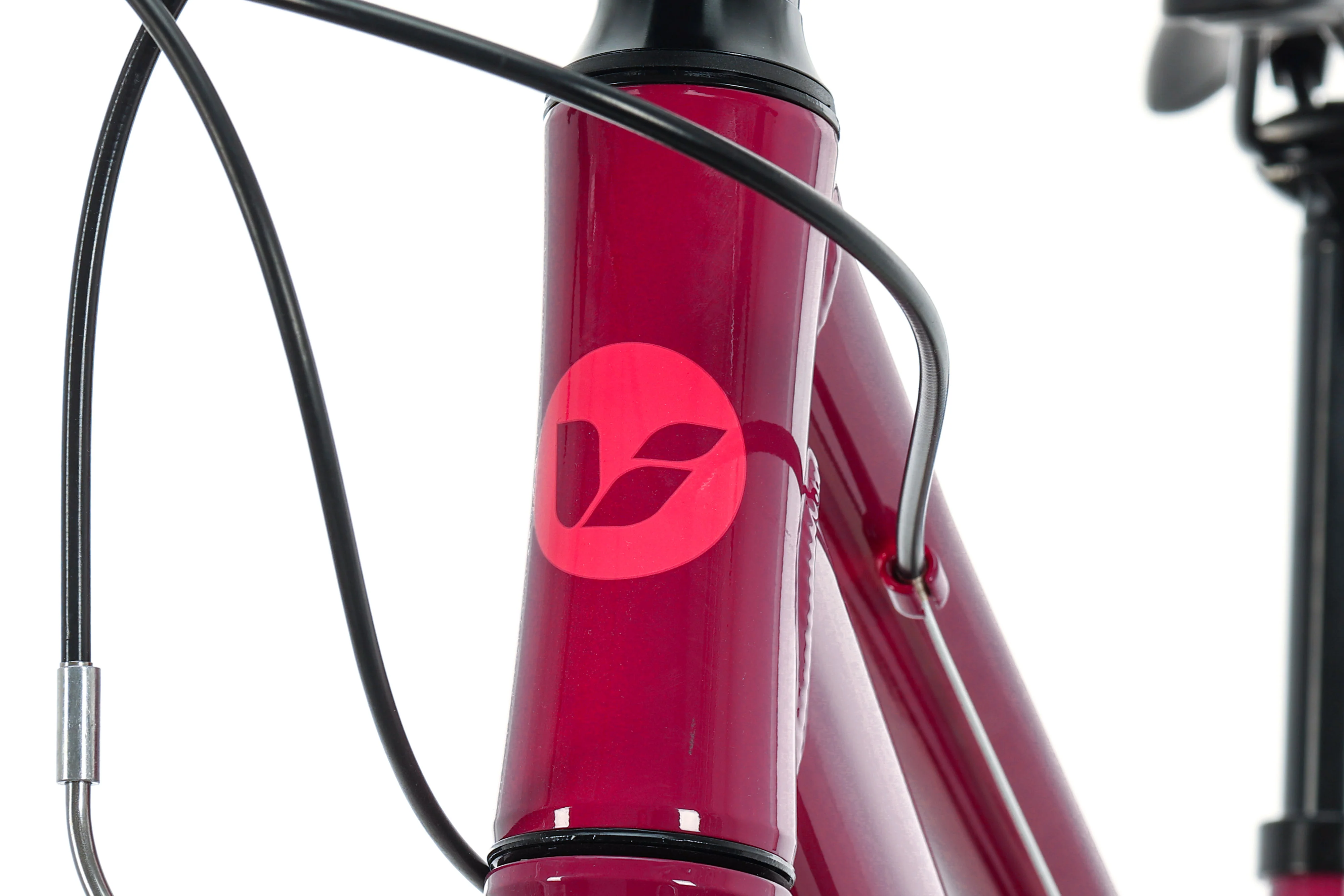 Liv Alight 24 Girl's Bike - 2021, One Size - Image 7