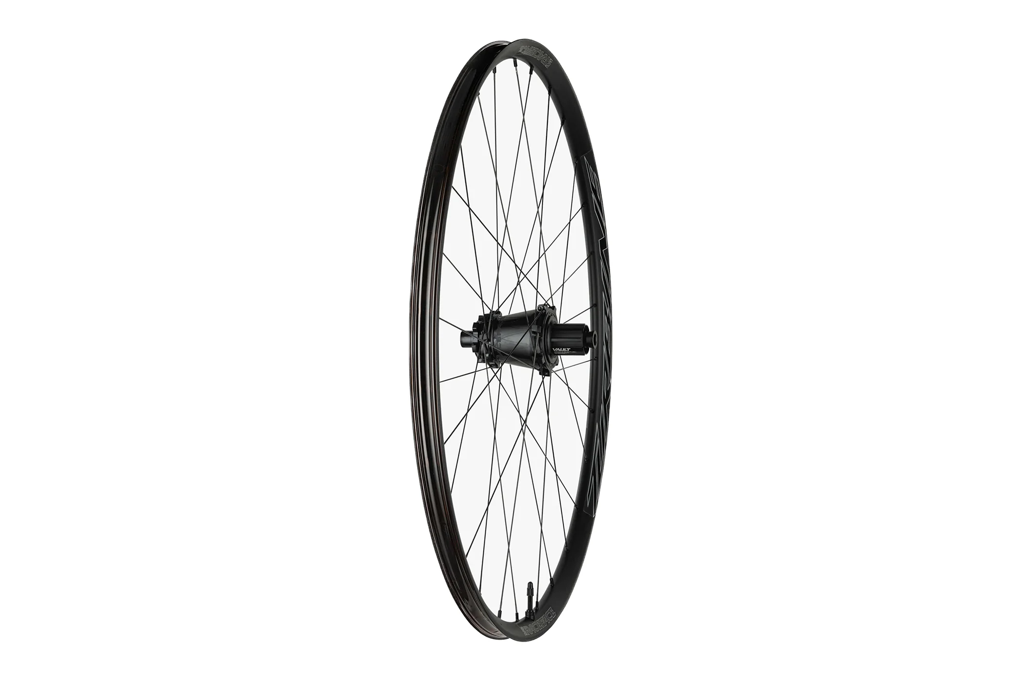 Race Face Turbine SL Alloy Tubeless 29" Rear Wheel - Shimano Microspline - Image 3