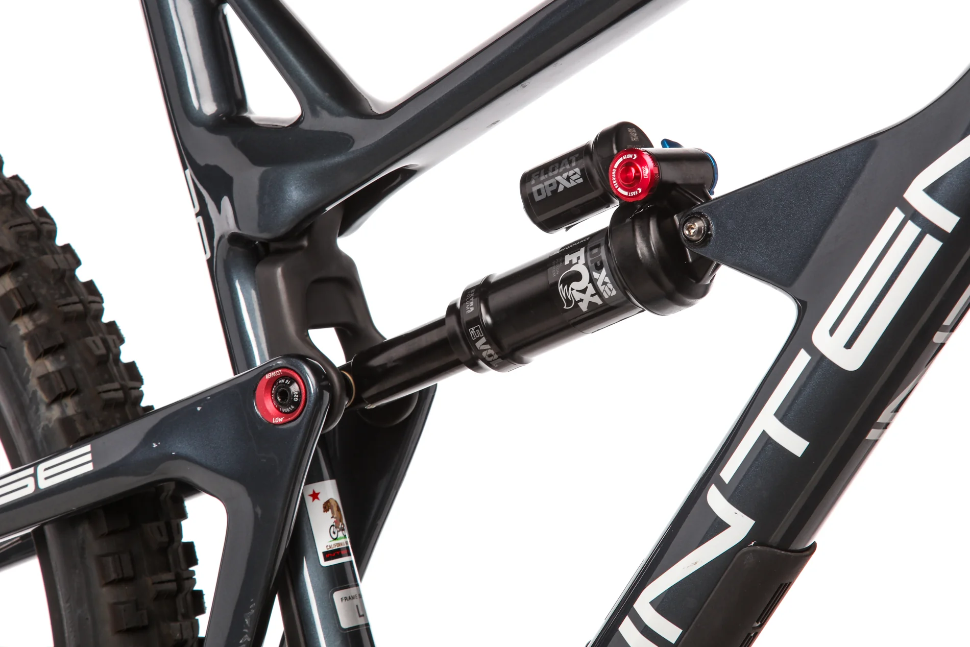Intense Primer 29 Expert Mountain Bike - 2021, Large - Image 4