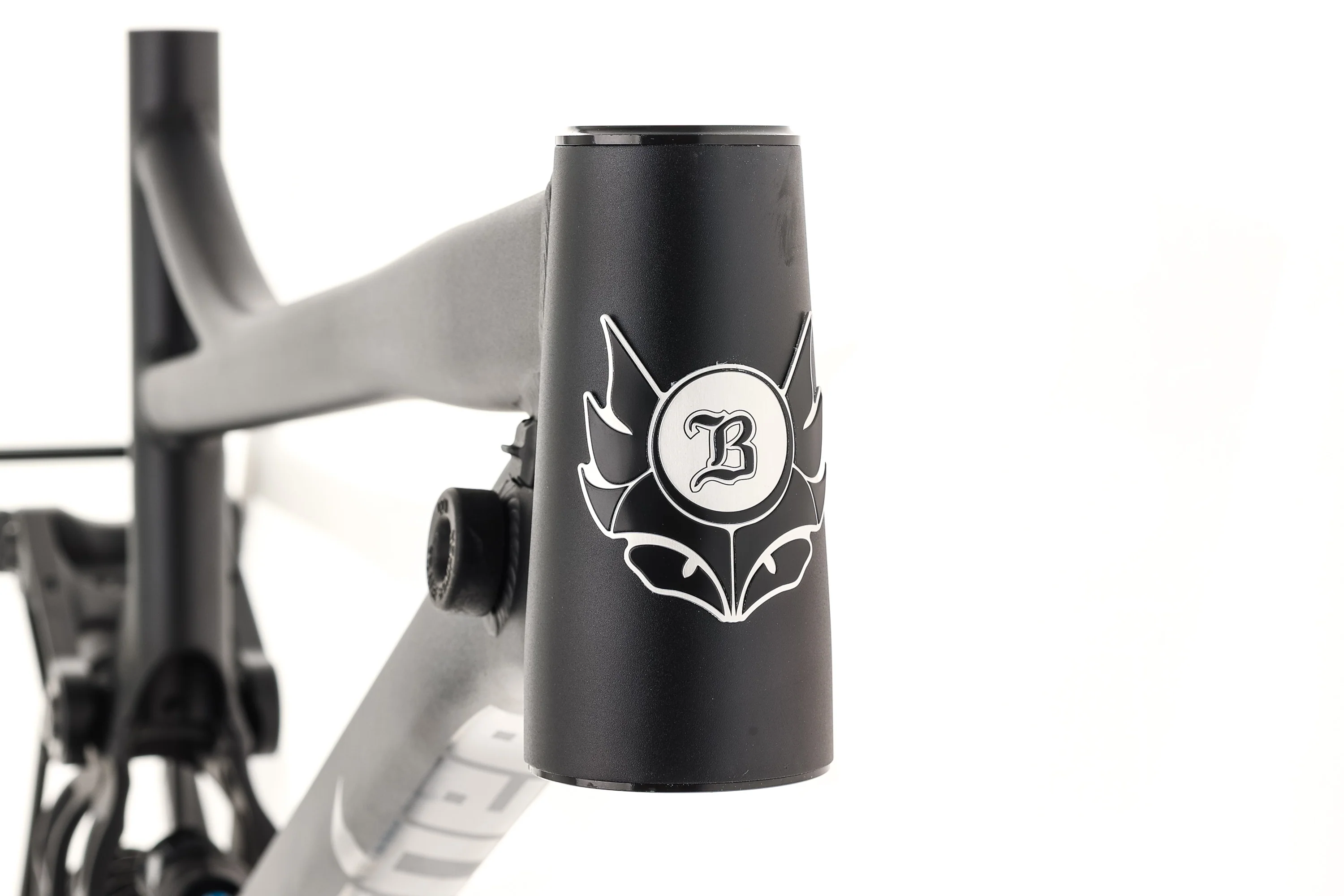 Banshee Legend 29er DH Frameset - Black - Image 5